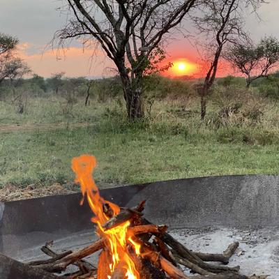 10. Bush Fire